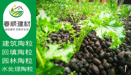 花卉陶粒江西廠家，陶粒全國送貨，種花土培