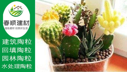 江西陶粒廠，陶粒生產(chǎn)廠家，陶粒批發(fā)，回填陶粒，景觀陶粒
