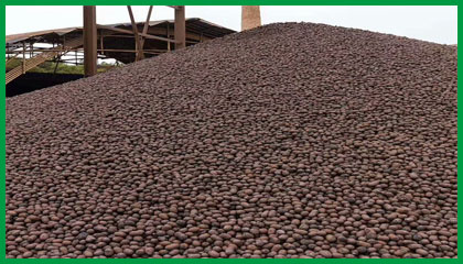 陶粒回填 建筑陶粒 供應(yīng)保溫1-3公分衛(wèi)生間陶粒，回填陶粒